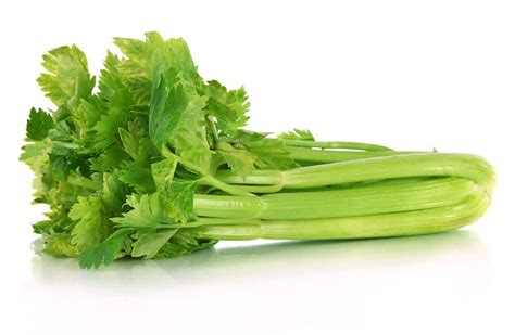 benefits  celery nutrition facts  recipes dr axe