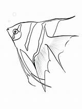 Fish Coloring Angel Angelfish Pages Sketch Fishing Drawing Lure Printable Color Getdrawings Getcolorings Print Coloringbay Recommended sketch template