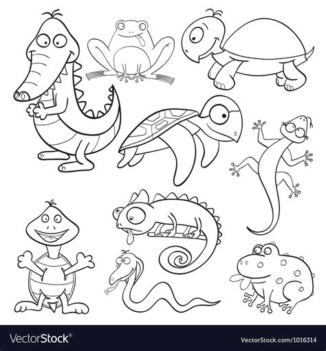 coloring pages  amphibians  reptiles
