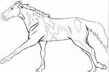 Coloring Pinto Horses sketch template