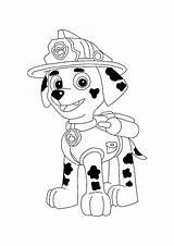 Coloring Marshall Pages Printable Patrol Paw Print sketch template