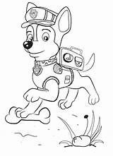 Patrol Patrulla Canina Cachorros sketch template