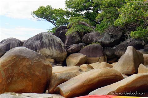 Daytripping At Fitzroy Island Australia The World Is A Book