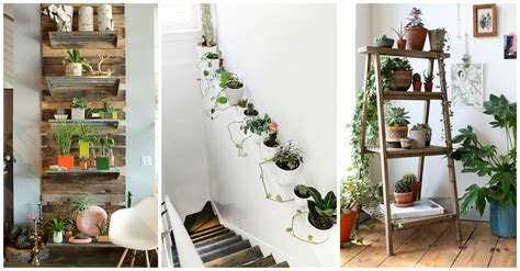 10 Unexpected Ways To Decorate Your Home With Plants