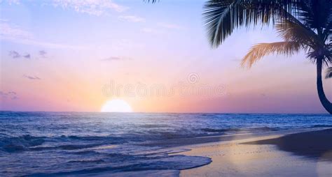 beautiful tropical sunset stock image image of outdoors 1293579