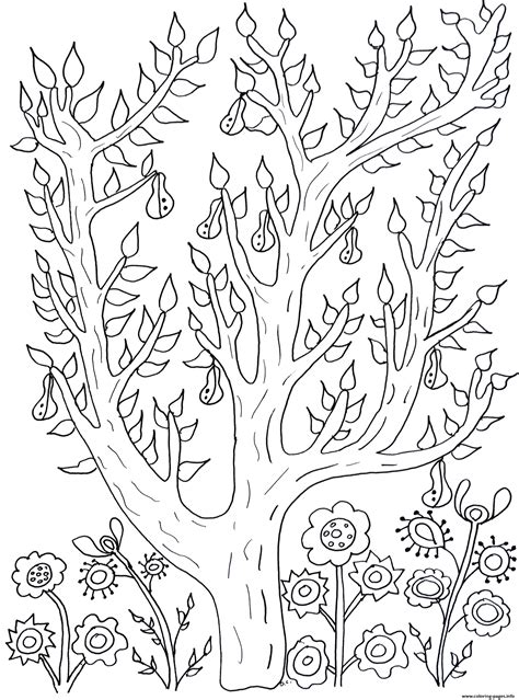 adult cute tree  leaves  pears olivier coloring page printable