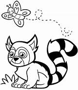 Lemur Coloring Cartoon Pages Cute Nine Real Kids sketch template