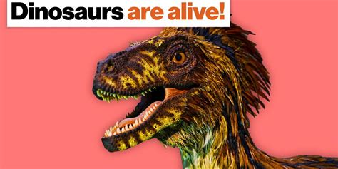 yes dinosaurs had feathers—and they re still alive big think
