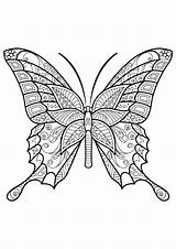 Schmetterling Papillon Coloriage Schmetterlinge Colorare Mandala Erwachsene Adultos Insetti Insectos Adulti Mariposas Ausmalbilder Malvorlagen Motifs Insekten Papillons Mandalas Ausmalbild Pintar sketch template