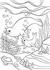 Seal Coloring Pages Mother Stock Illustration Baby Cute Little Her Depositphotos Ya Mayka sketch template