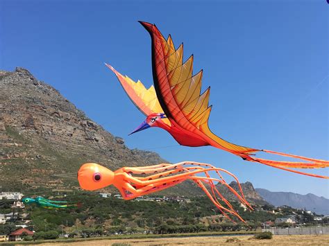 cape town international kite festival raises funds  mental health