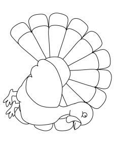 pin  turkey coloring pages