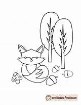 Woodland Coloring Pages Animals Fox Printable Printables Creatures Creature Cute Print Popular Coloringhome sketch template