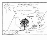 Cycle Water Worksheet Diagram Grade 5th Printable Answer Coloring Key Worksheeto School Via 3rd Pinelands Children Potter Pinned Linda sketch template