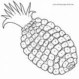 Coloring Pages Fruits Pineapple Color Kids Fruit Printable Food Nature Sheets Plate Sheet Do Found sketch template