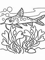 Coloring Pages Catfish Printable Minecraft sketch template