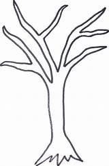 Tree Drawing Outline Easy Bare Clipart Simple Library sketch template