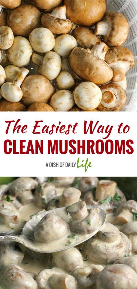 easiest   clean mushrooms stuffed mushrooms   clean