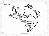 Fish Coloringoo sketch template