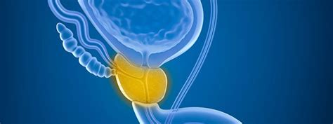 uroxatral vs rapaflo for treatment for enlarged prostate