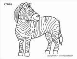 Zebra Printable Coloring Pages Firstpalette Templates sketch template