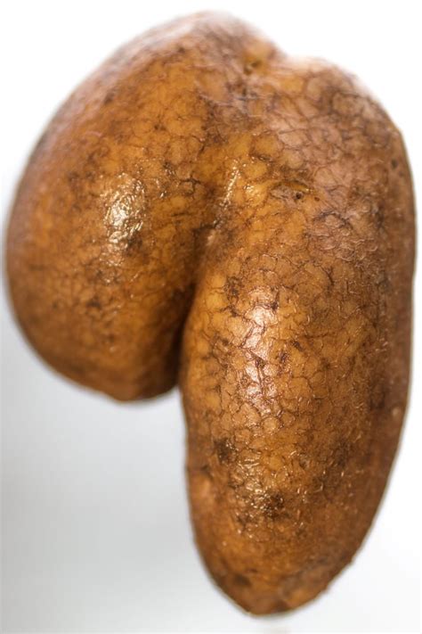 rude vegetables from the cornish food box company in truro mirror online