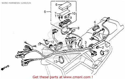 honda goldwing  wiring diagram