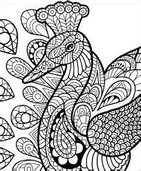 pin  adult coloring pages