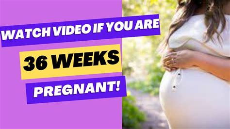 36 Weeks Pregnant What To Expect Youtube