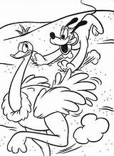 Pluto Coloring Pages Disney Printable Kids sketch template