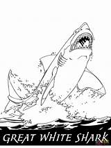 Shark Water Jumping Coloring Great Pages Drawing Printable sketch template