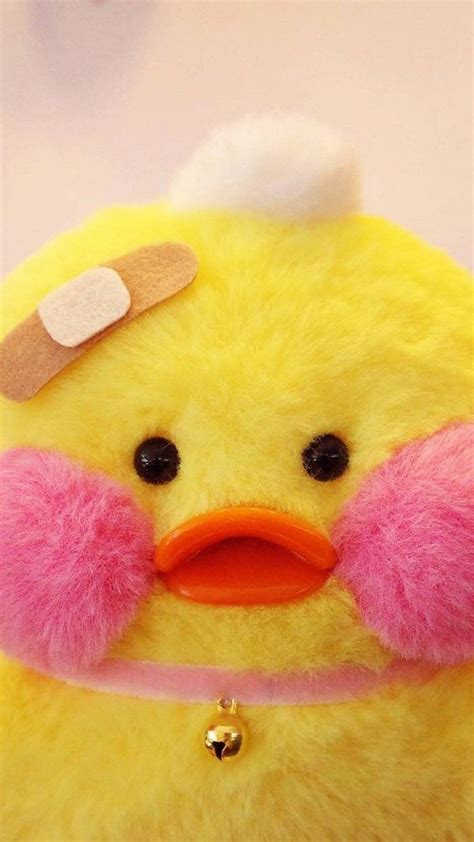 cute duck aesthetic