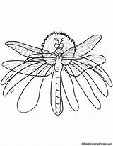 Dragonfly Winged Yellow Coloring sketch template
