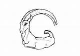 Goat Coloring Kleurplaat Malvorlage Pages Printen Large Afbeelding Grote Große Herunterladen Abbildung Edupics sketch template