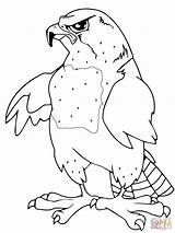 Falcon Coloring Mascot Designlooter Drawings sketch template