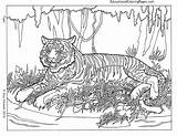Coloring Pages Printable Difficult Animals Adults Print sketch template