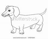 Dog Sausage Drawing Outline Coloring Pages Getdrawings Weiner Dachshund Wiener Animal sketch template