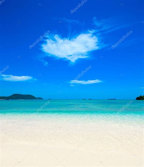 beach  tropical sea stock photo  pakhnyushchyy