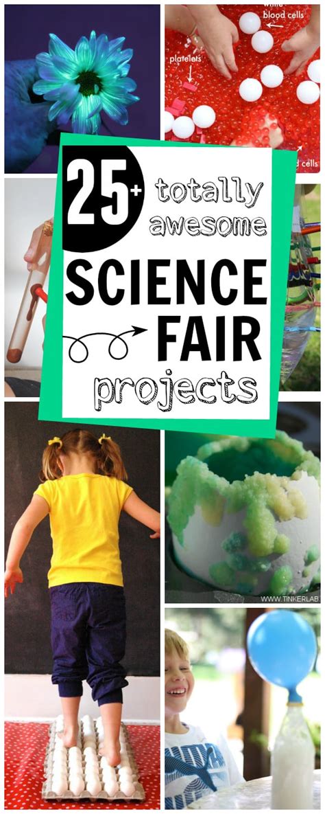 totally awesome science fair project ideas  kids