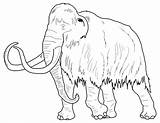 Coloring Pages Mammoth Archaeology Template Printable Getcolorings Getdrawings Color sketch template