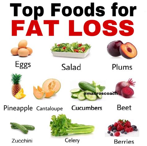 top foods  fat loss