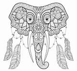 Zentangle Mandala Elefante Bird Olifant Vogelfedern Elefant Chicart Indischer Elegante Indische Vogelveren Tareitas Wolf sketch template