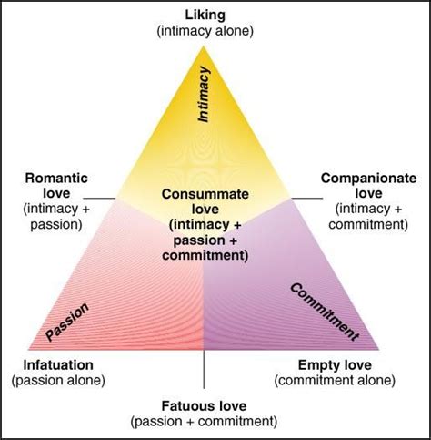 sternbergs triangular love typology triangular theory  love interpersonal relationship