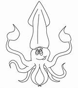 Squid Tintenfisch Ozean Ausmalbild Coloringmates Marine Momjunction sketch template
