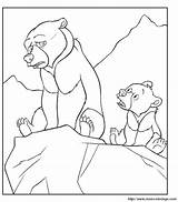 Brother Bear Browser Ok Internet Change Case Will sketch template