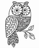 Zentangle Stampendous Buho Buhos Owls Cling Rubber Drawing Franticstamper Vendido Lechuza sketch template