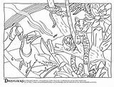 Coloring Pages Habitat Camouflage Animal Rainforest Amazon Color Forest Animals Drawing Habitats Sheets Printable Counts Getdrawings Getcolorings Blooming Spring Print sketch template