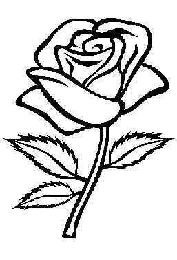 kleurplaten bloemen roos