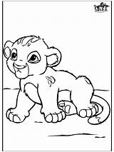 Baby Lion Coloring Pages Little Funnycoloring Popular Animals Colouring sketch template