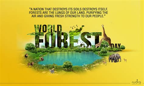 world forest day  behance